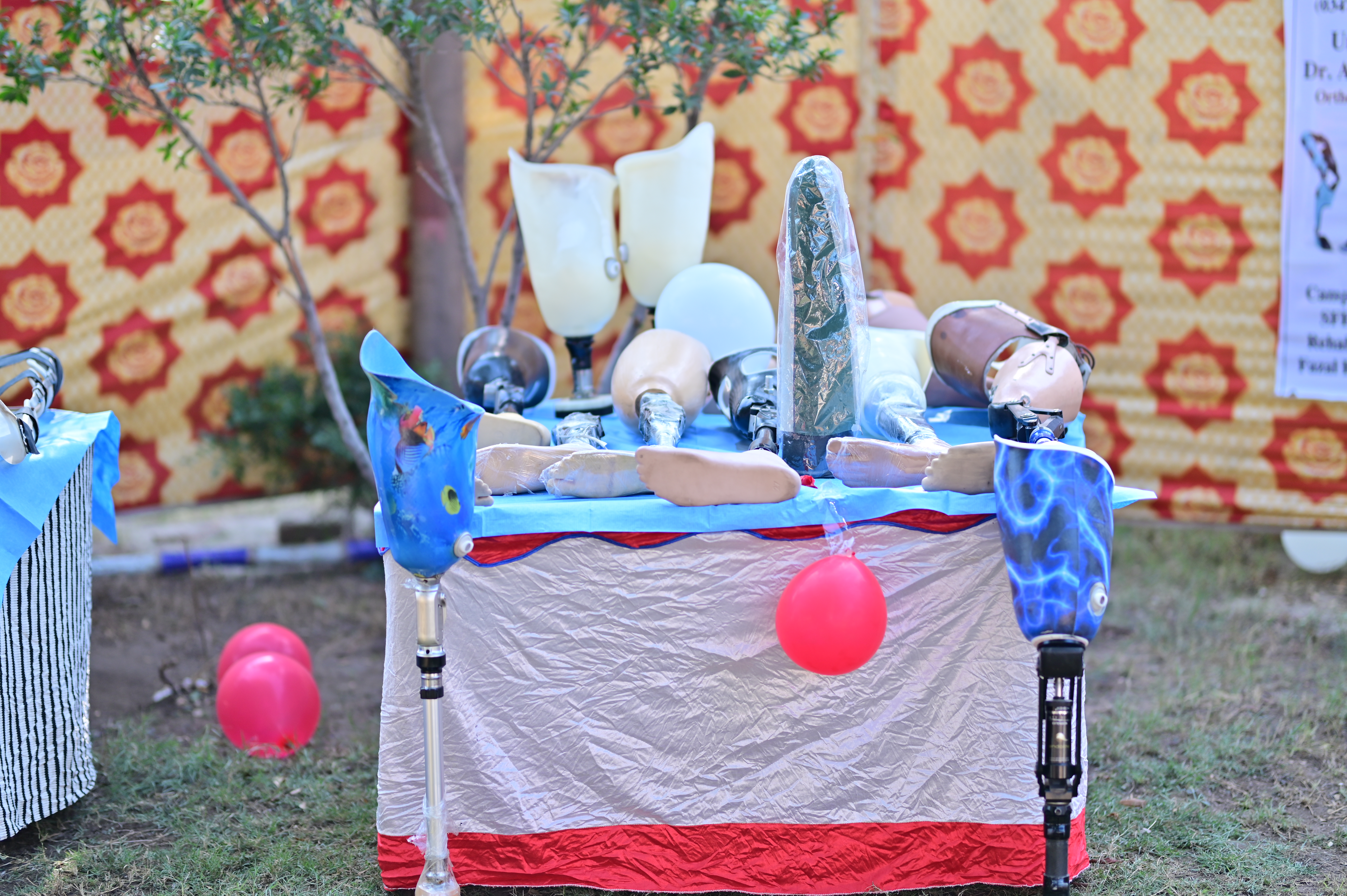 Lower Limb Prosthesis